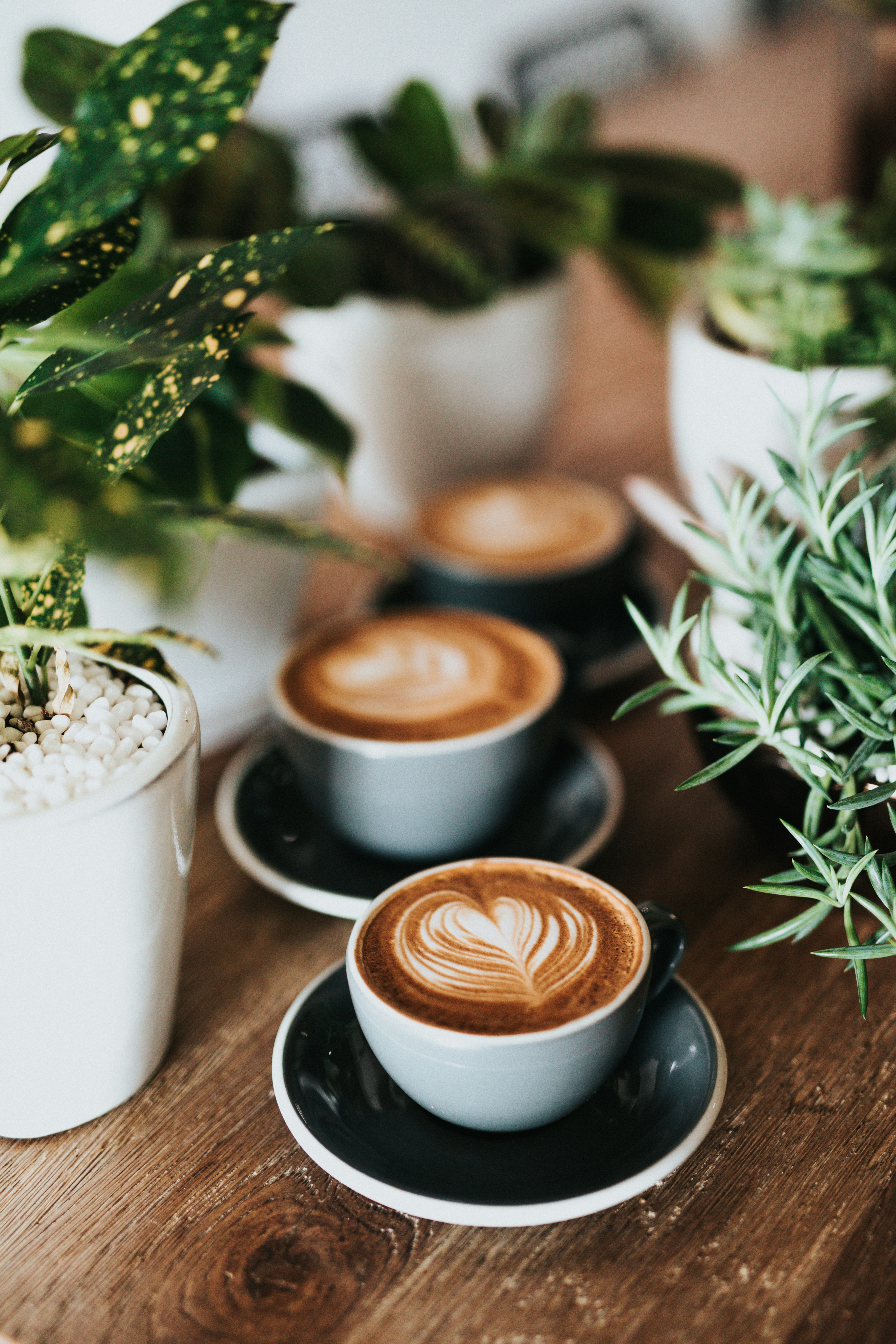 Cafes